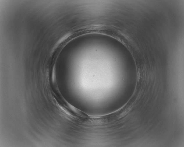 X0000060811402200511101441