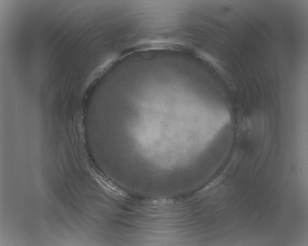 X0000060811403200511101441