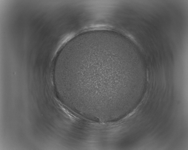 X0000060811405200511101441