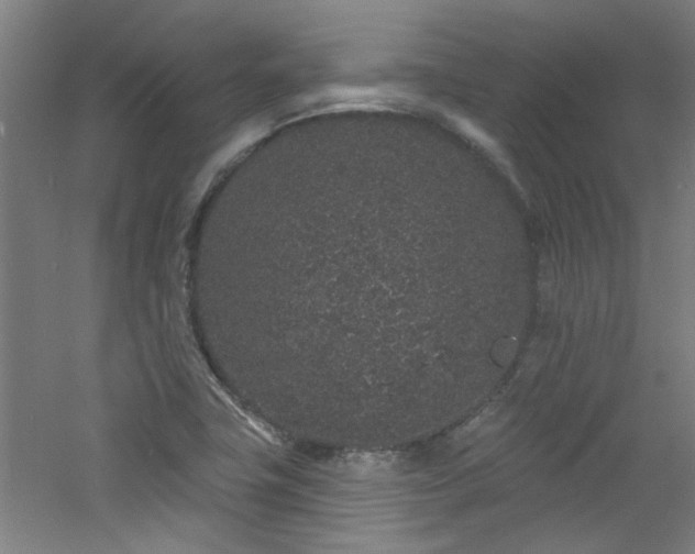 X0000060811411200511101441