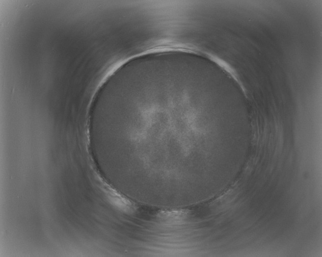 X0000060811415200511101441