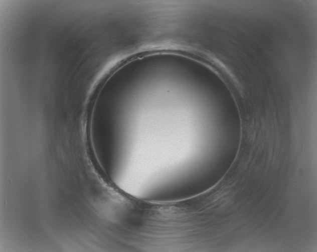 X0000060811416200511101441