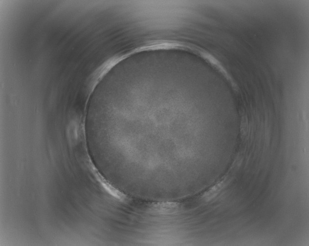 X0000060811417200511101441