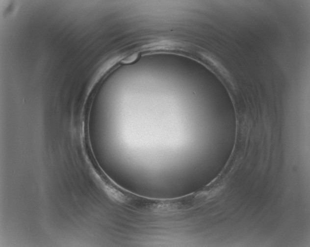 X0000060811418200511101441