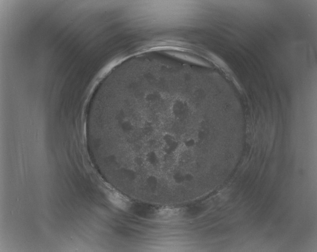 X0000060811419200511101441