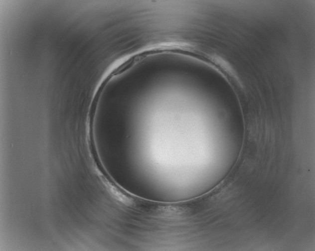 X0000060811420200511101441