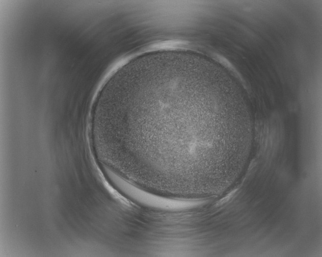 X0000060811421200511101441