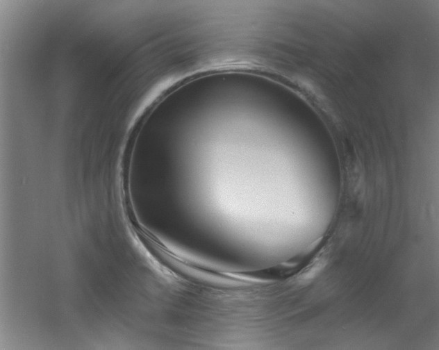 X0000060811422200511101441