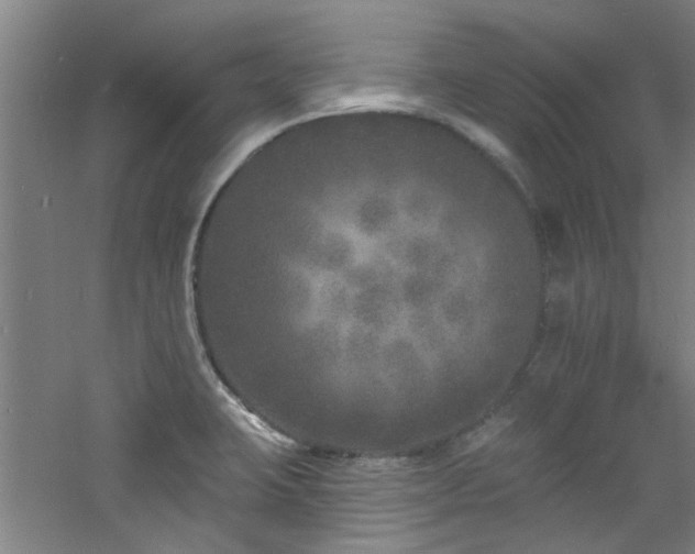 X0000060811423200511101441