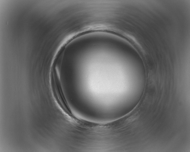 X0000060811424200511101441