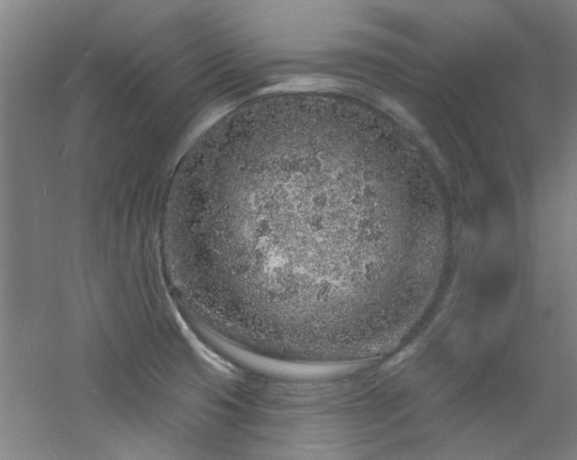 X0000060811425200511101441