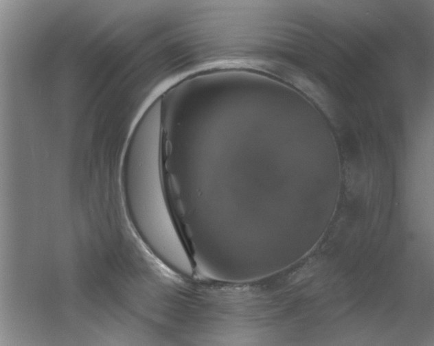 X0000060811428200511101441