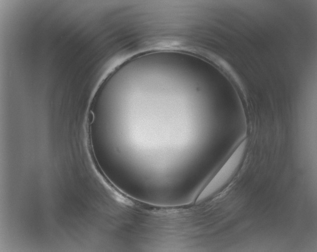 X0000060811432200511101441