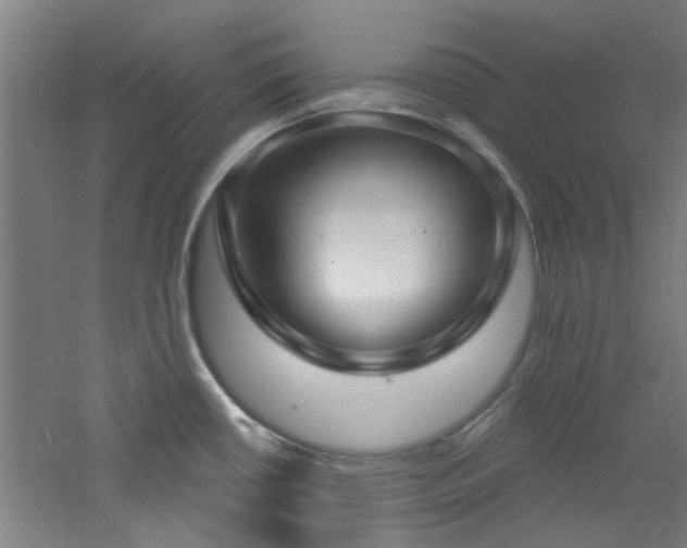 X0000060811434200511101441