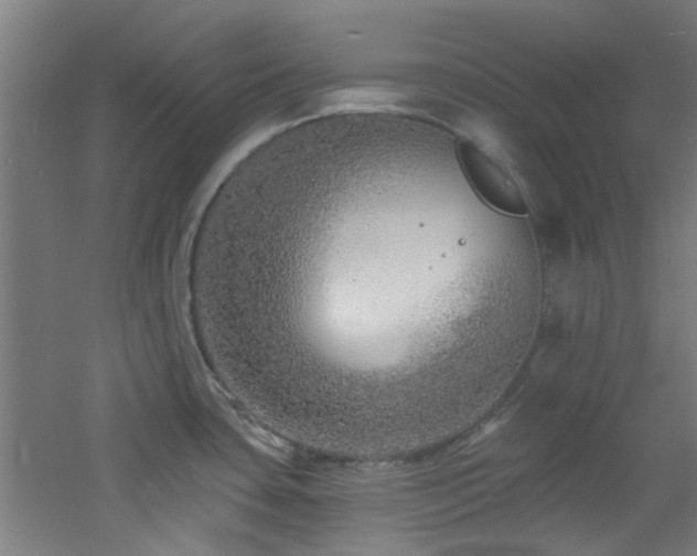 X0000060811435200511101441