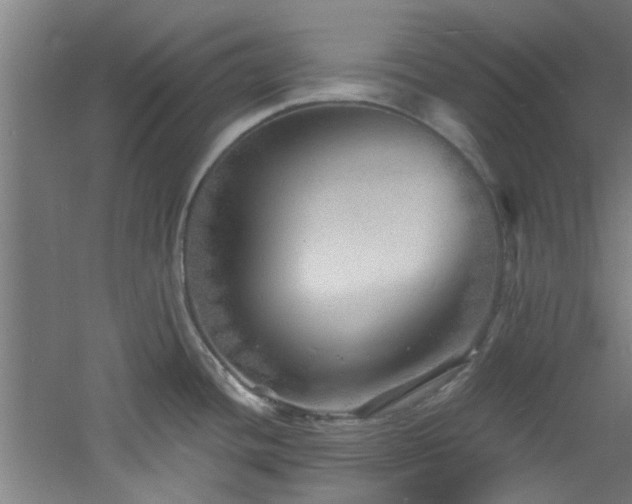 X0000060811436200511101441