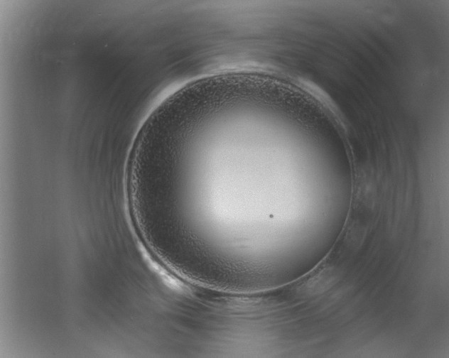 X0000060811439200511101441