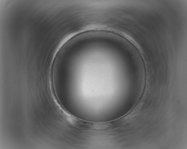 X0000060811440200511101441