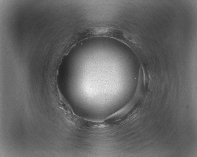 X0000060811441200511101440