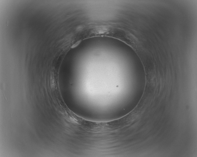 X0000060811442200511101440