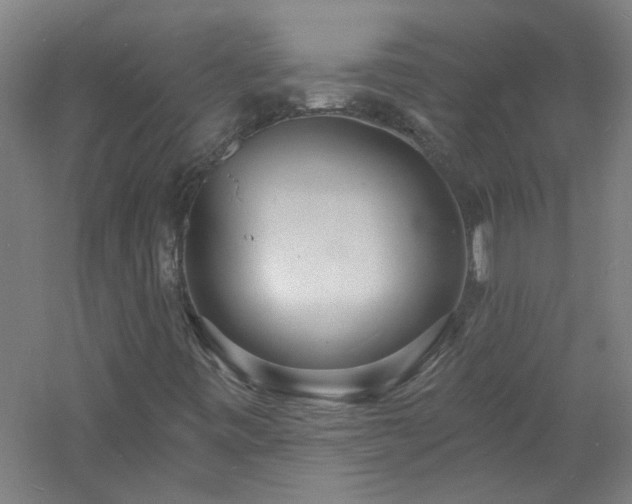 X0000060811443200511101440