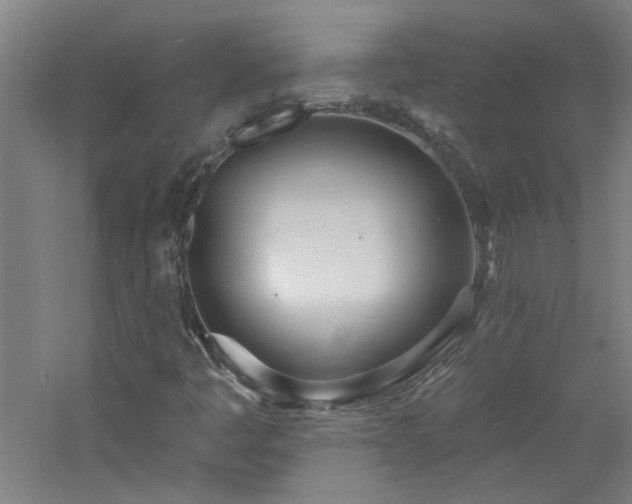 X0000060811445200511101440