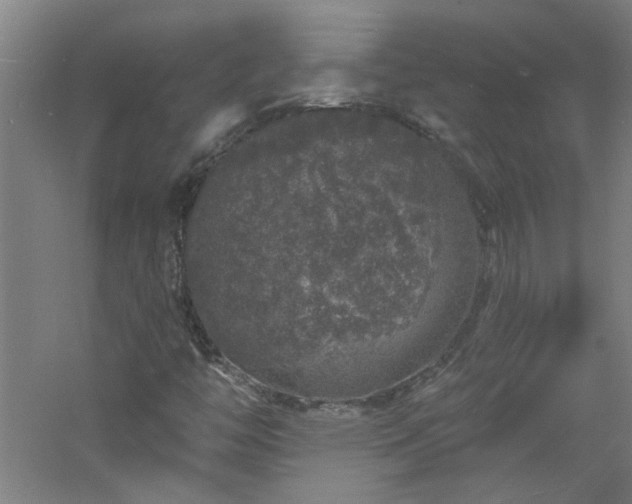 X0000060811446200511101440