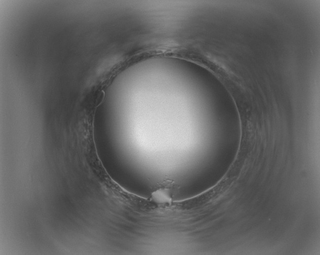 X0000060811447200511101440