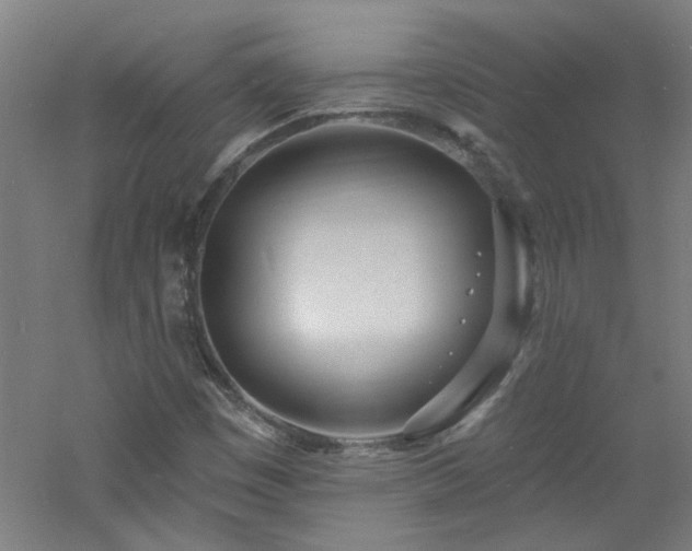 X0000060811449200511101440