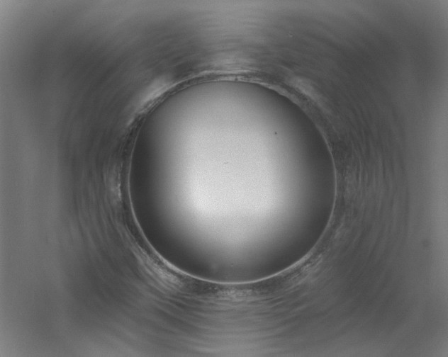 X0000060811451200511101440