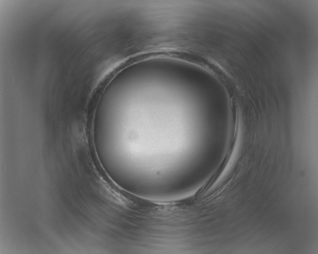 X0000060811452200511101440