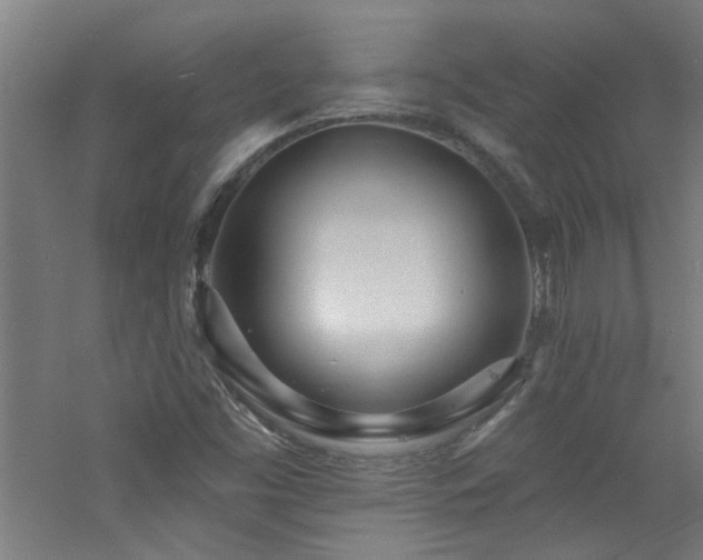 X0000060811453200511101440