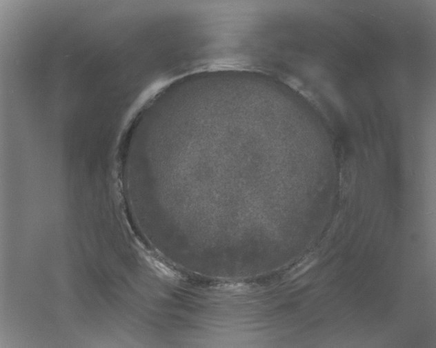 X0000060811454200511101440