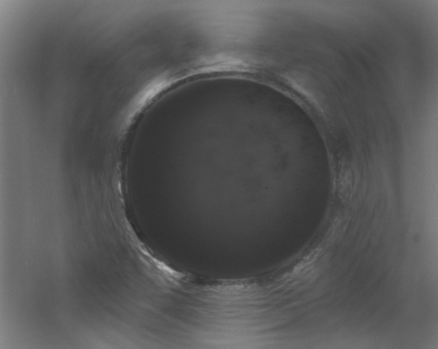 X0000060811455200511101440