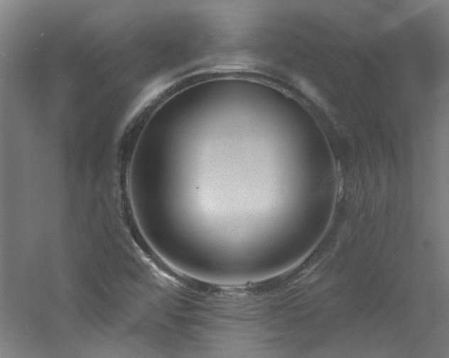 X0000060811456200511101440