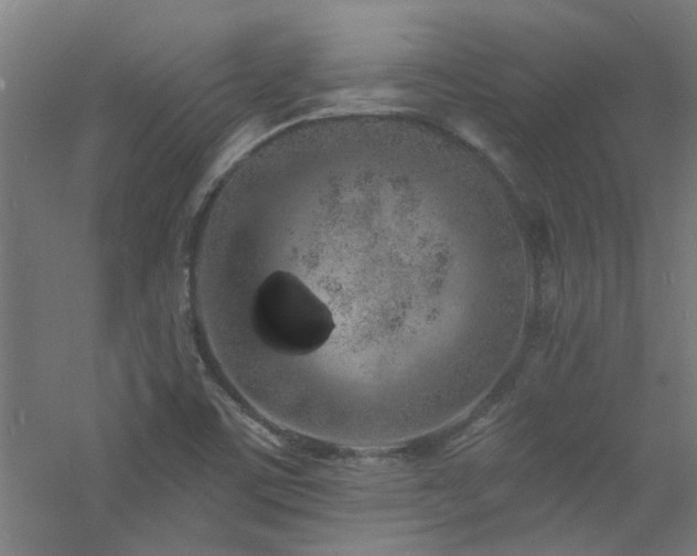 X0000060811459200511101440