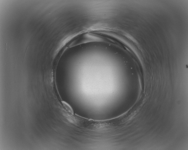 X0000060811461200511101440