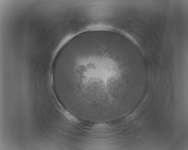 X0000060811462200511101440