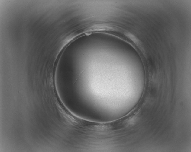 X0000060811465200511101440