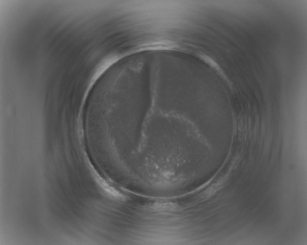 X0000060811466200511101440