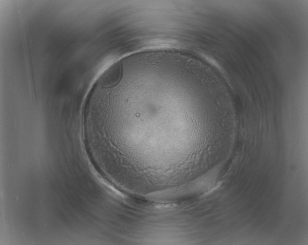 X0000060811467200511101440