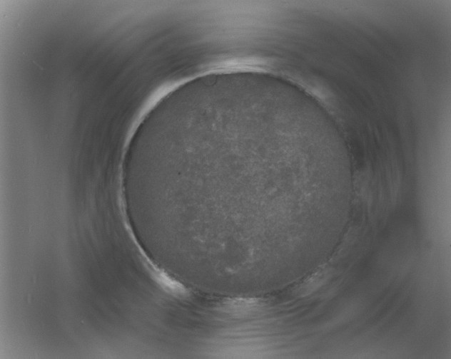 X0000060811470200511101440