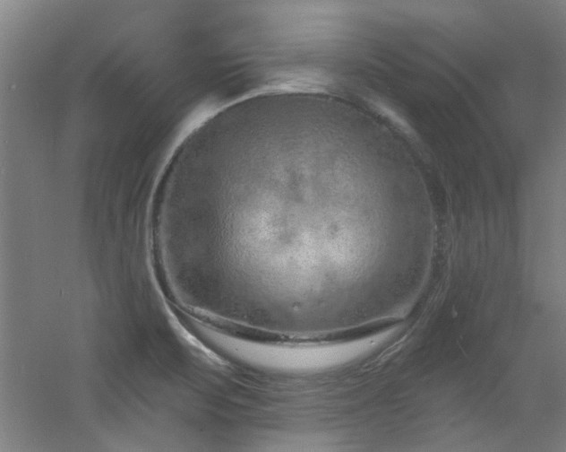 X0000060811471200511101440