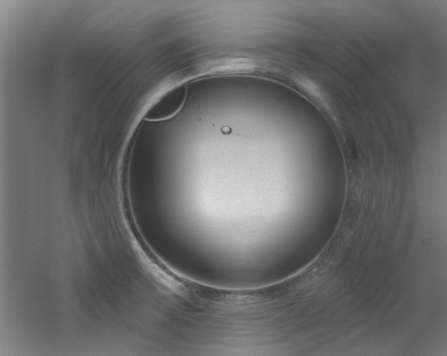 X0000060811475200511101440