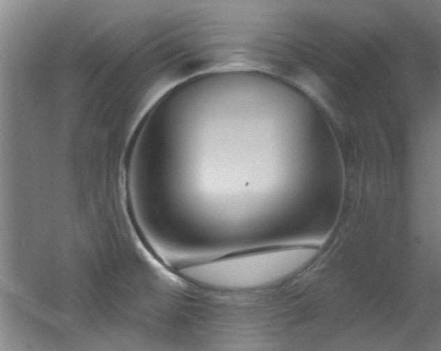 X0000060811476200511101440