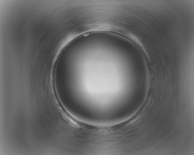 X0000060811480200511101440