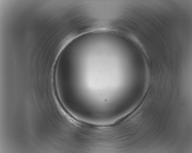 X0000060811483200511101440