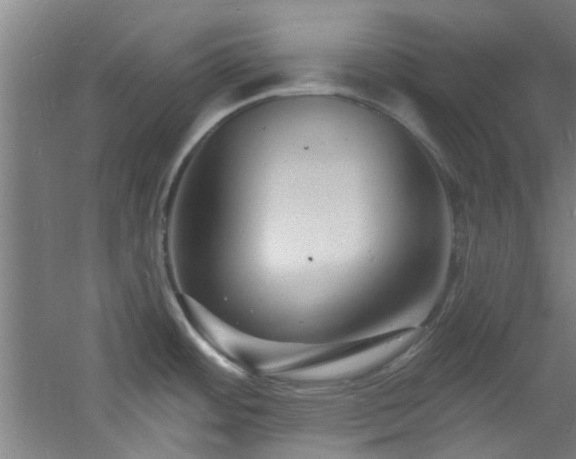 X0000060811484200511101440