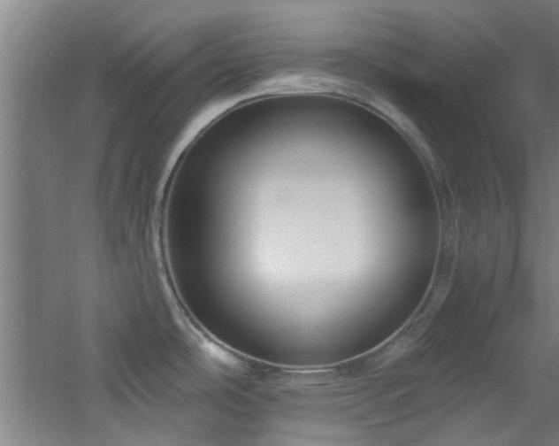 X0000060811486200511101440