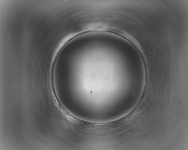 X0000060811488200511101440